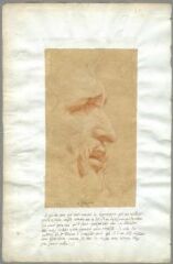 1 vue Esquisse, profil d'homme âgé, barbu (folio 23, verso). Sanguine